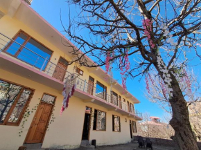 Shalom Guesthouse and Cafe